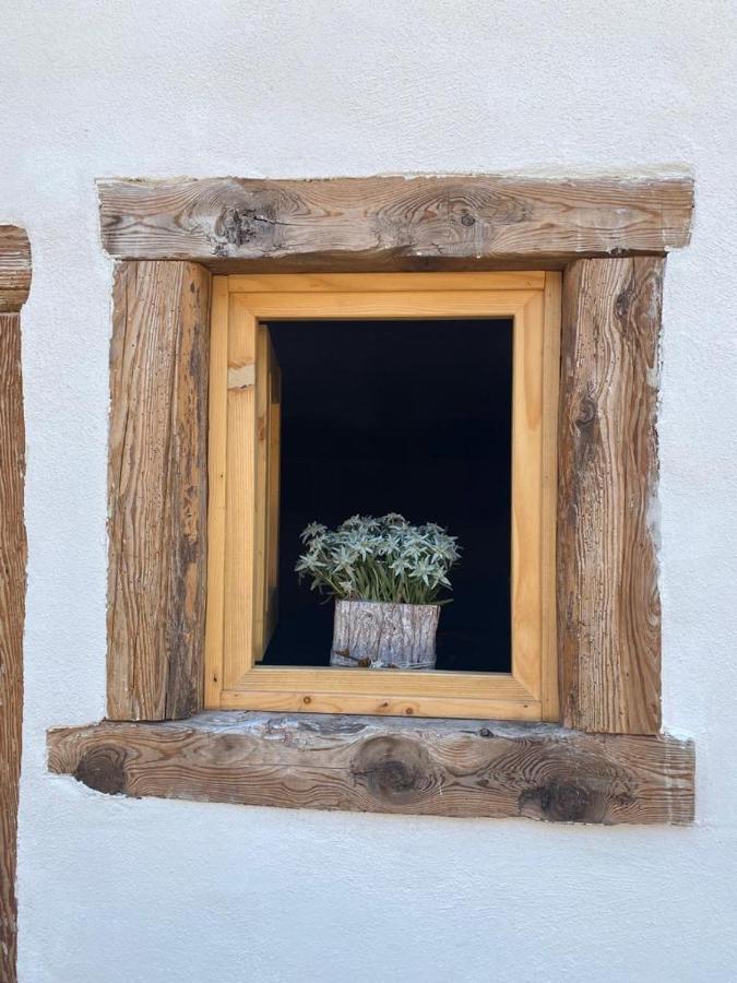 The Wooden House Apartman Valle di Cadore Kültér fotó